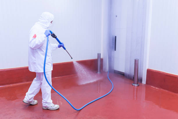 Reliable Hackberry, TX Pressure Washing Solutions